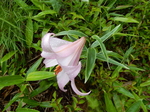 DSCN2236.JPG