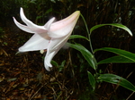 DSCN2237.JPG