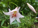 DSCN2247.JPG