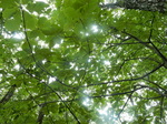 DSCN2260.JPG