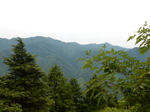 DSCN2269.JPG