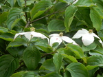 DSCN2281.JPG