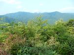 DSCN2300.JPG