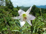 DSCN2342.JPG