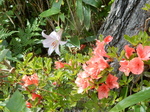 DSCN2347.JPG