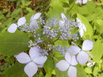 DSCN2348.JPG