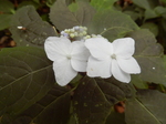 DSCN2352.JPG