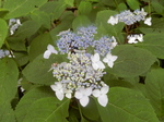 DSCN2356.JPG