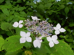 DSCN2357.JPG