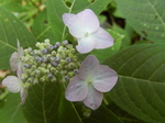 DSCN2359.JPG