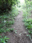 DSCN2361.JPG
