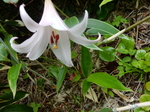 DSCN2362.JPG