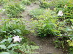 DSCN2365.JPG