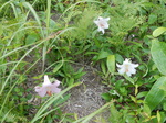 DSCN2366.JPG