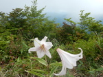 DSCN2368.JPG
