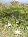 DSCN2370.JPG