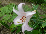 DSCN2372.JPG