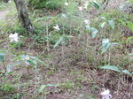 DSCN2373.JPG