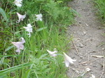 DSCN2374.JPG