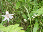 DSCN2375.JPG