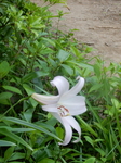 DSCN2376.JPG