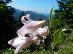 DSCN2380.JPG