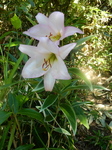 DSCN2381.JPG