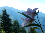 DSCN2387.JPG