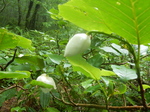 DSCN2435.JPG