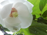DSCN2440.JPG
