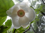 DSCN2447.JPG