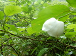 DSCN2457.JPG
