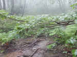 DSCN2461.JPG