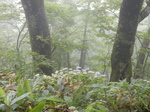 DSCN2465.JPG