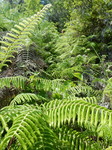 DSCN2472.JPG
