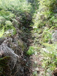 DSCN2473.JPG