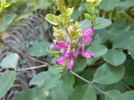 DSCN2479.JPG