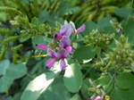 DSCN2480.JPG