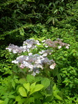 DSCN2486.JPG