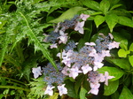 DSCN2487.JPG