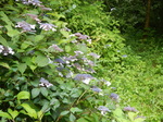 DSCN2492.JPG
