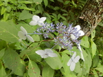 DSCN2495.JPG