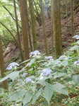 DSCN2496.JPG