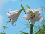 DSCN2504.JPG