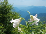 DSCN2515.JPG