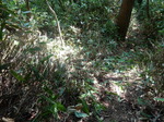 DSCN2518.JPG