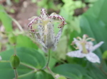 DSCN2528.JPG
