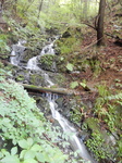 DSCN2541.JPG