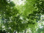 DSCN2544.JPG