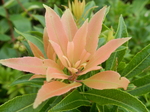 DSCN2546.JPG